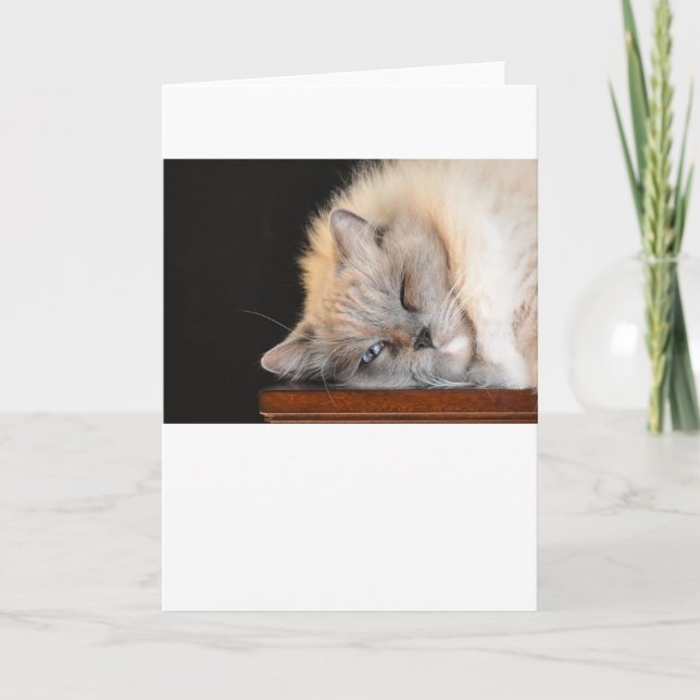 Slow Days, card (Front)