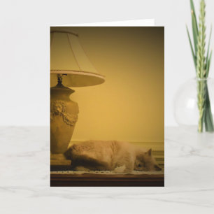 Slow Days, card
