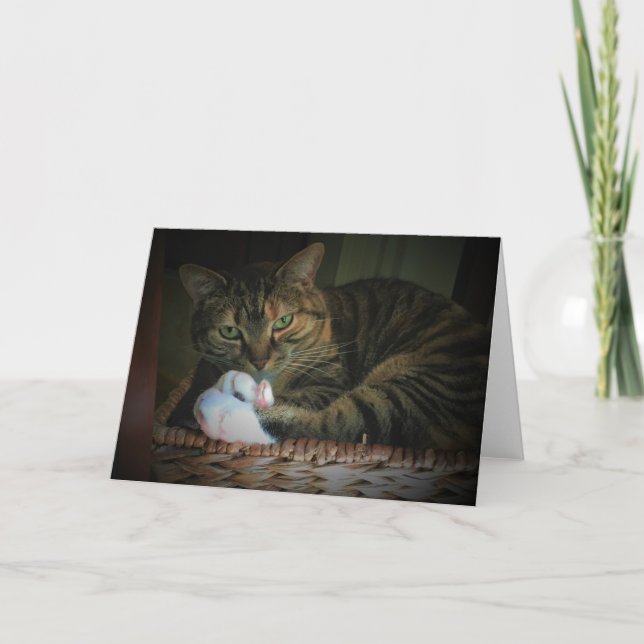 Slow Days, card (Front)