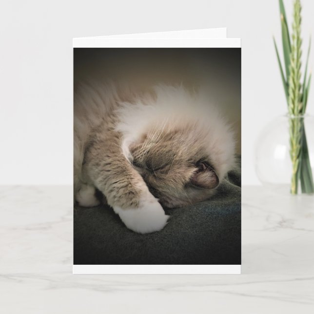 Slow Days, card (Front)