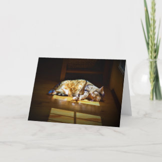 Slow Days, card