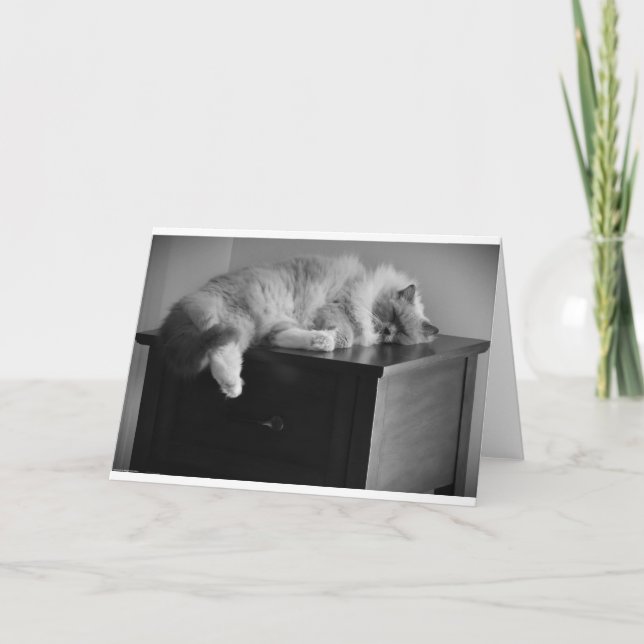 Slow Days, card (Front)