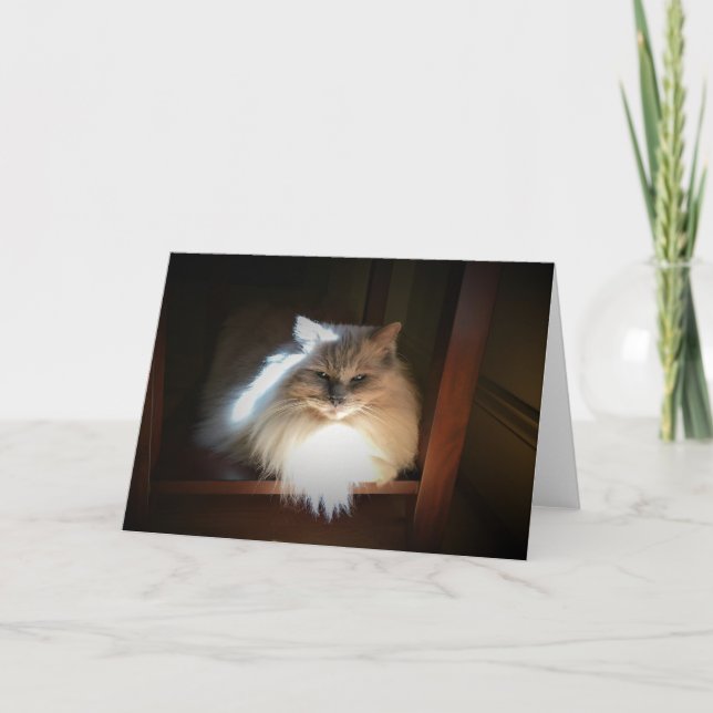 Slow Days, card (Front)