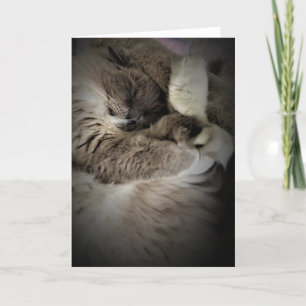 Slow Days, card