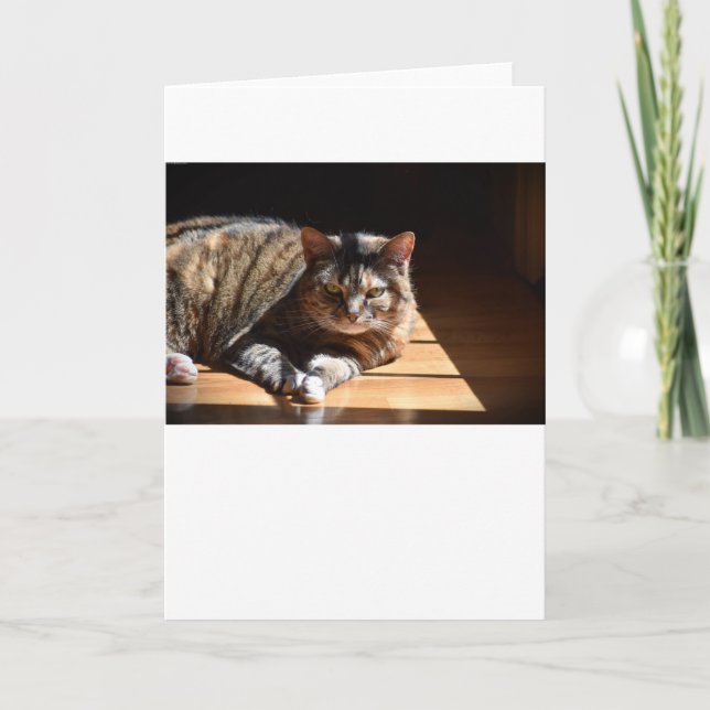 Slow Days, card (Front)