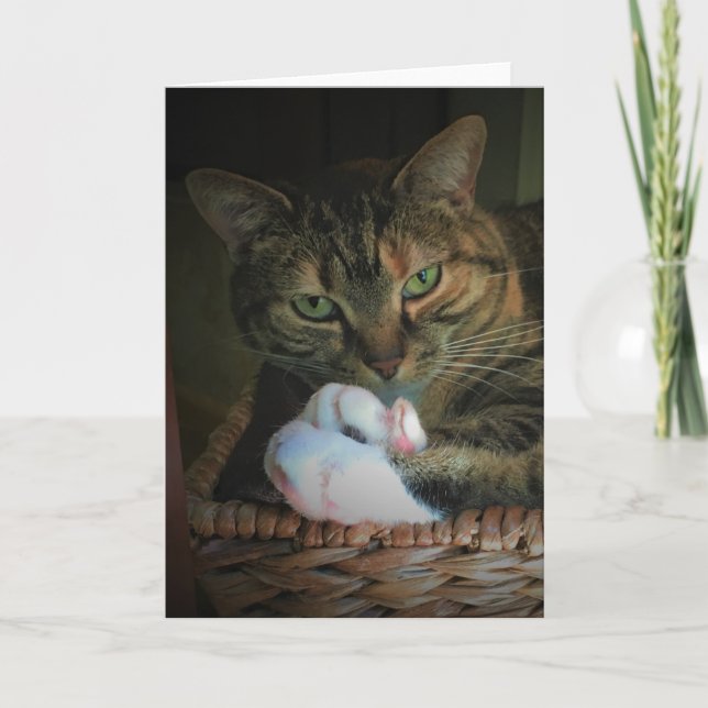 Slow Days, card (Front)