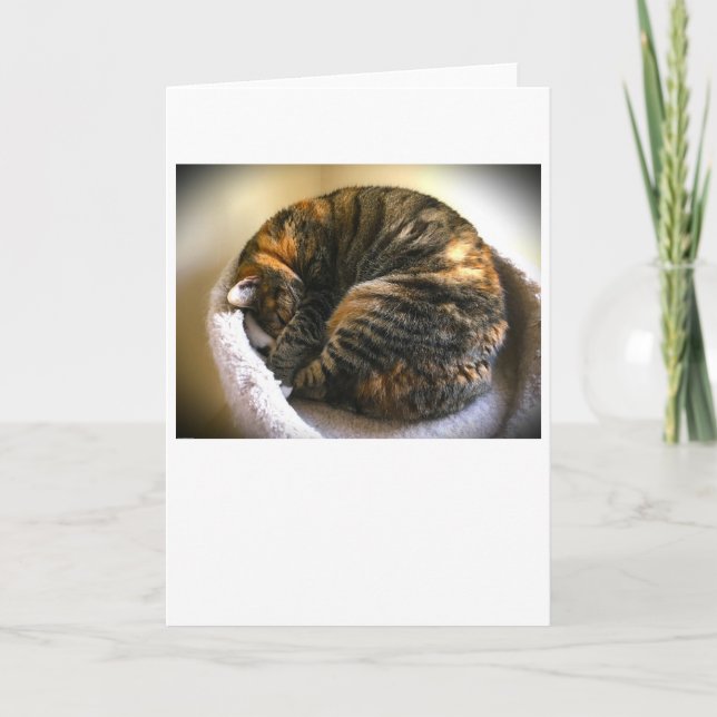 Slow Days, card (Front)