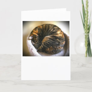 Slow Days, card