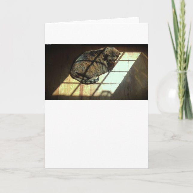 Slow Days, card (Front)
