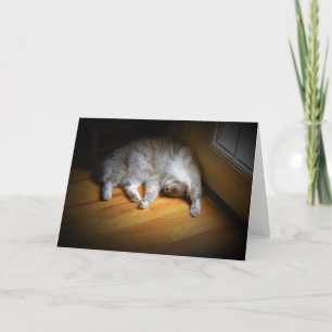 Slow Days, card
