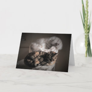 Slow Days, card