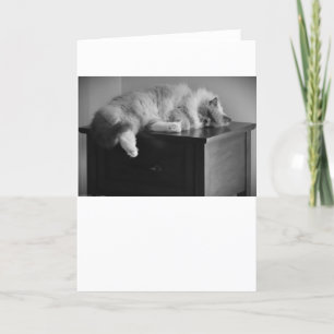 Slow Days, card