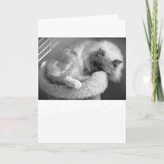 Slow Days, card (Front)