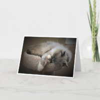 Slow Days, card