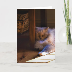 Slow Days, card