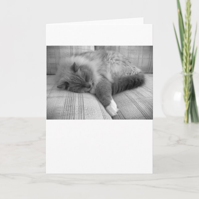 Slow Days, card (Front)