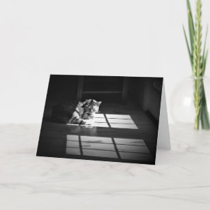 Slow Days, card