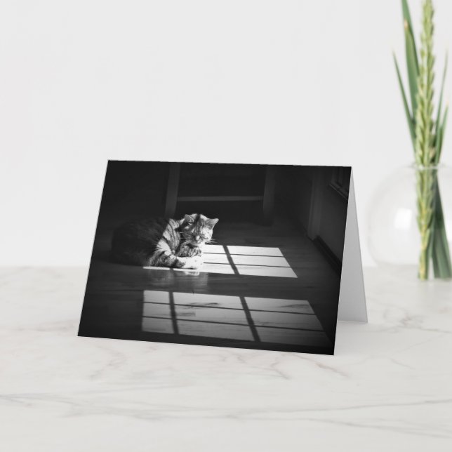 Slow Days, card (Front)
