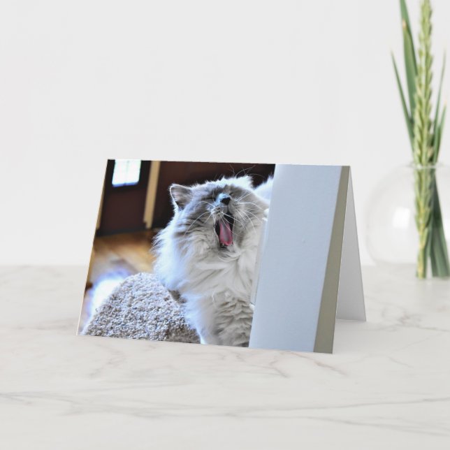 Slow Days, card (Front)