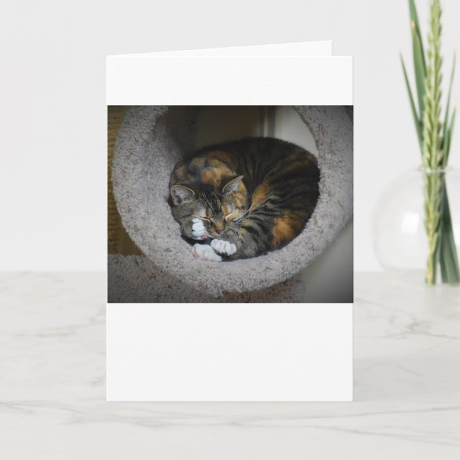 Slow Days, card (Front)