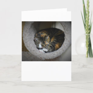 Slow Days, card