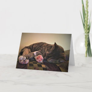 Slow Days, card