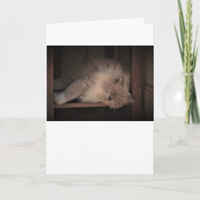 Slow Days, card (Front)