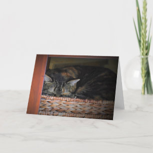 Slow Days, card