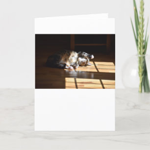 Slow Days, card
