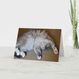 Slow Days, card