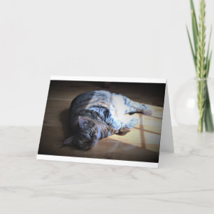 Slow Days, card