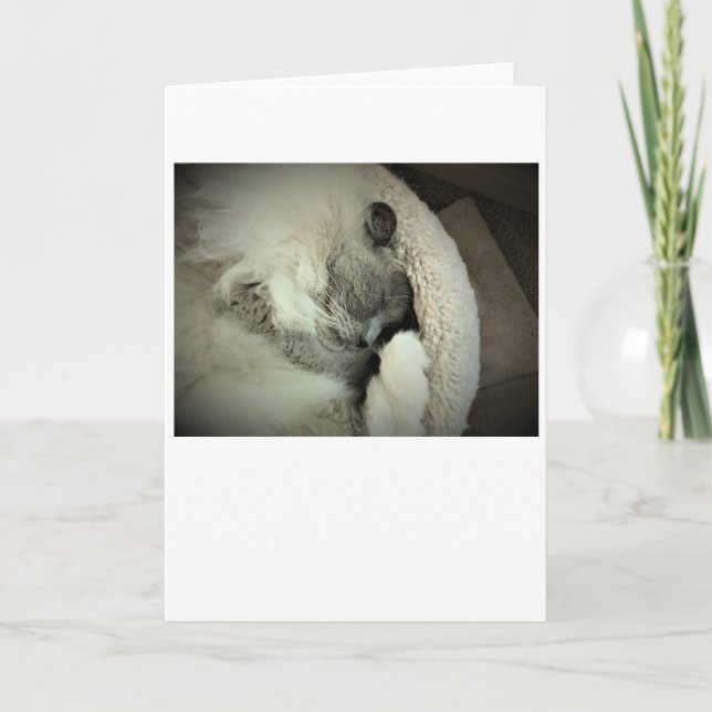 Slow Days, card (Front)