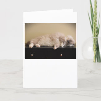 Slow Days, card