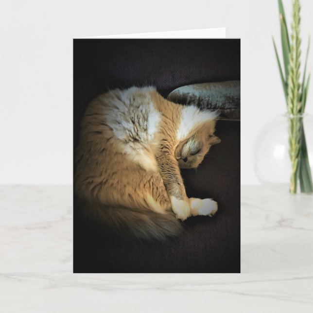 Slow Days, card (Front)