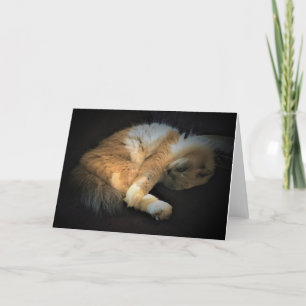 Slow Days, card