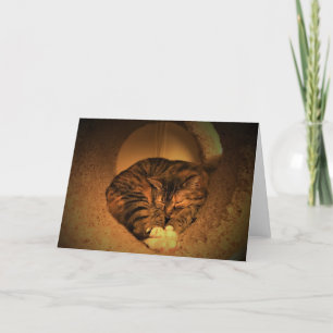 Slow Days, card