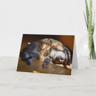 Slow Days, card