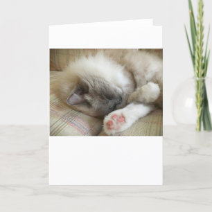 Slow Days, card
