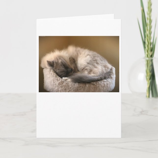 Slow Days, card (Front)