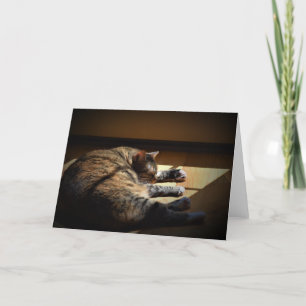 Slow Days, card