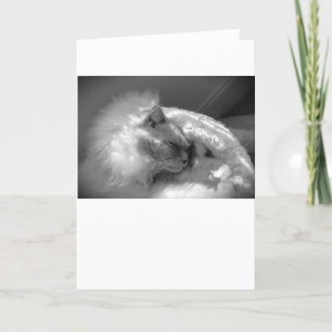 Slow Days, card