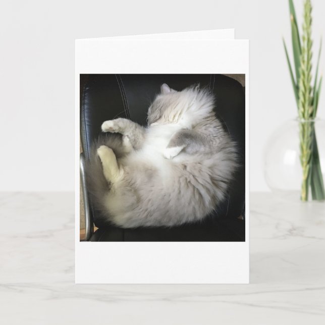 Slow Days, card (Front)