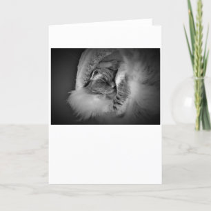 Slow Days, card