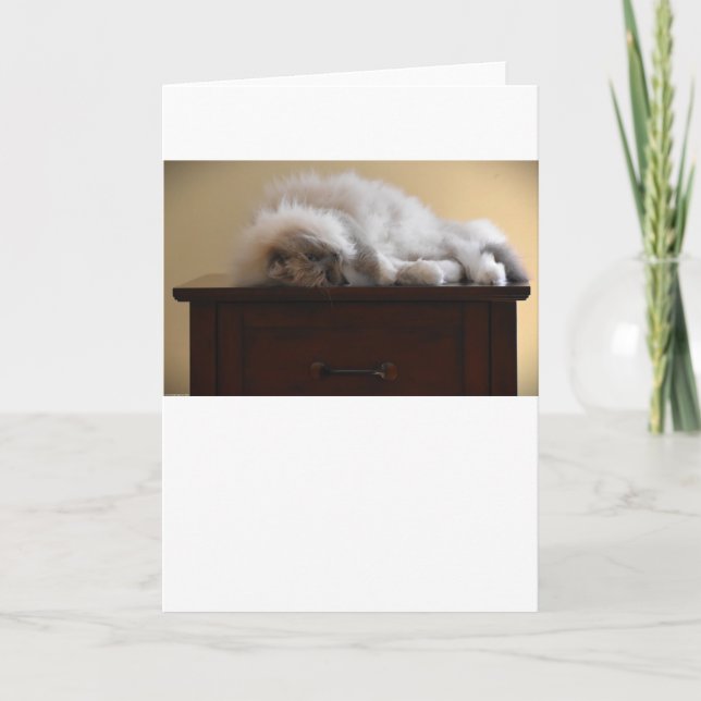 Slow Days, card (Front)