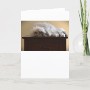 Slow Days, card