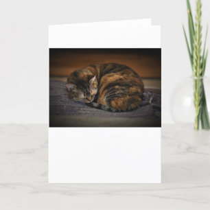 Slow Days, card