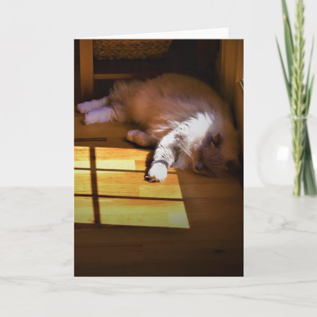 Slow Days, card (Front)