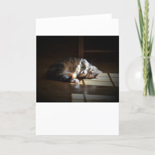 Slow Days, card