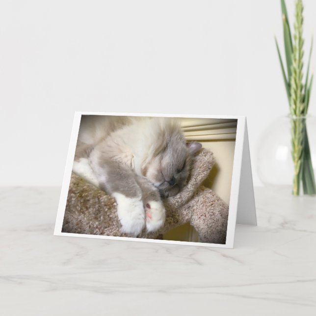 Slow Days, card (Front)