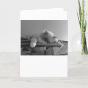 Slow Days, card